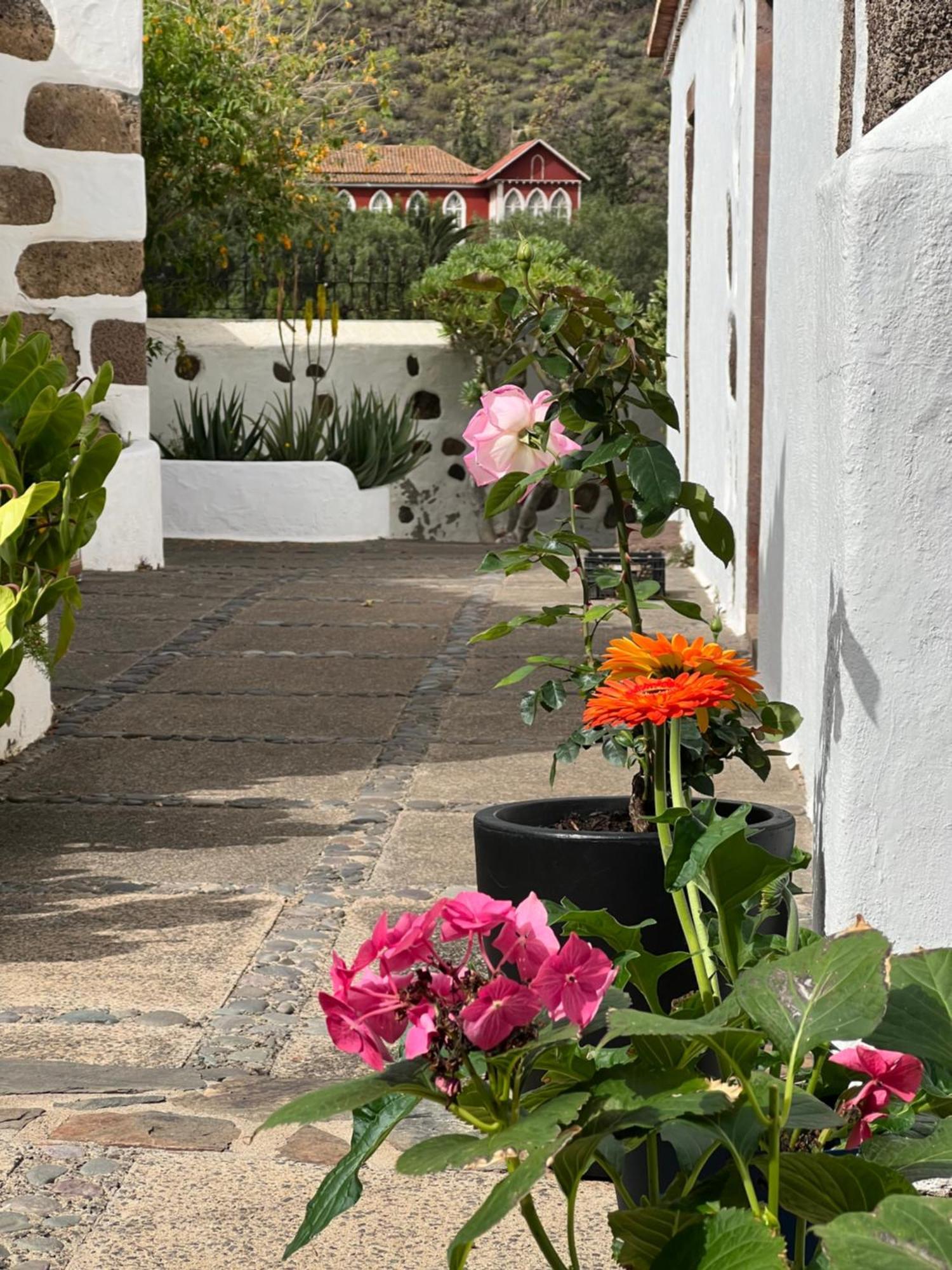 Finca Exclusiv La Mareta アガエテ エクステリア 写真