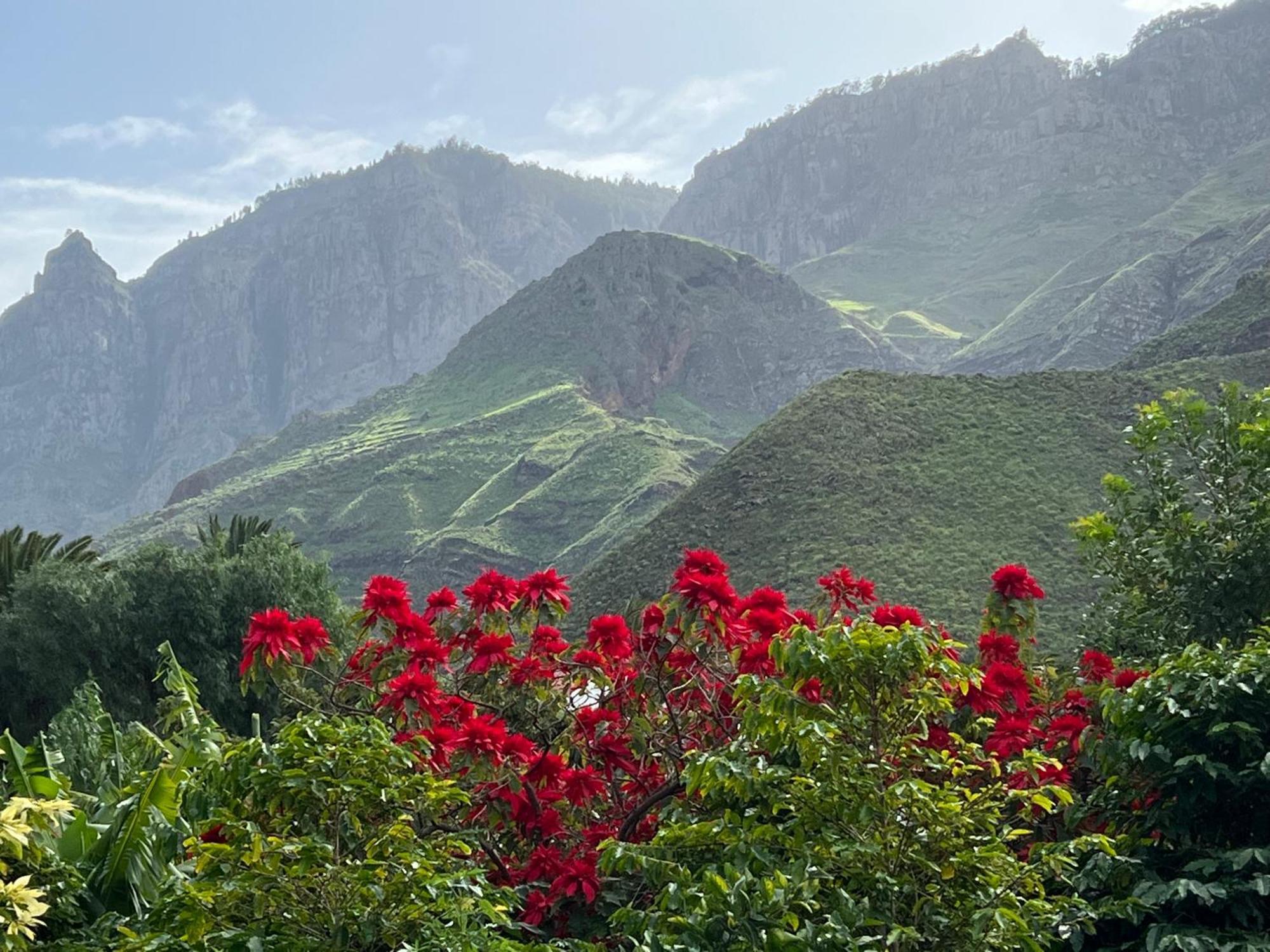 Finca Exclusiv La Mareta アガエテ エクステリア 写真