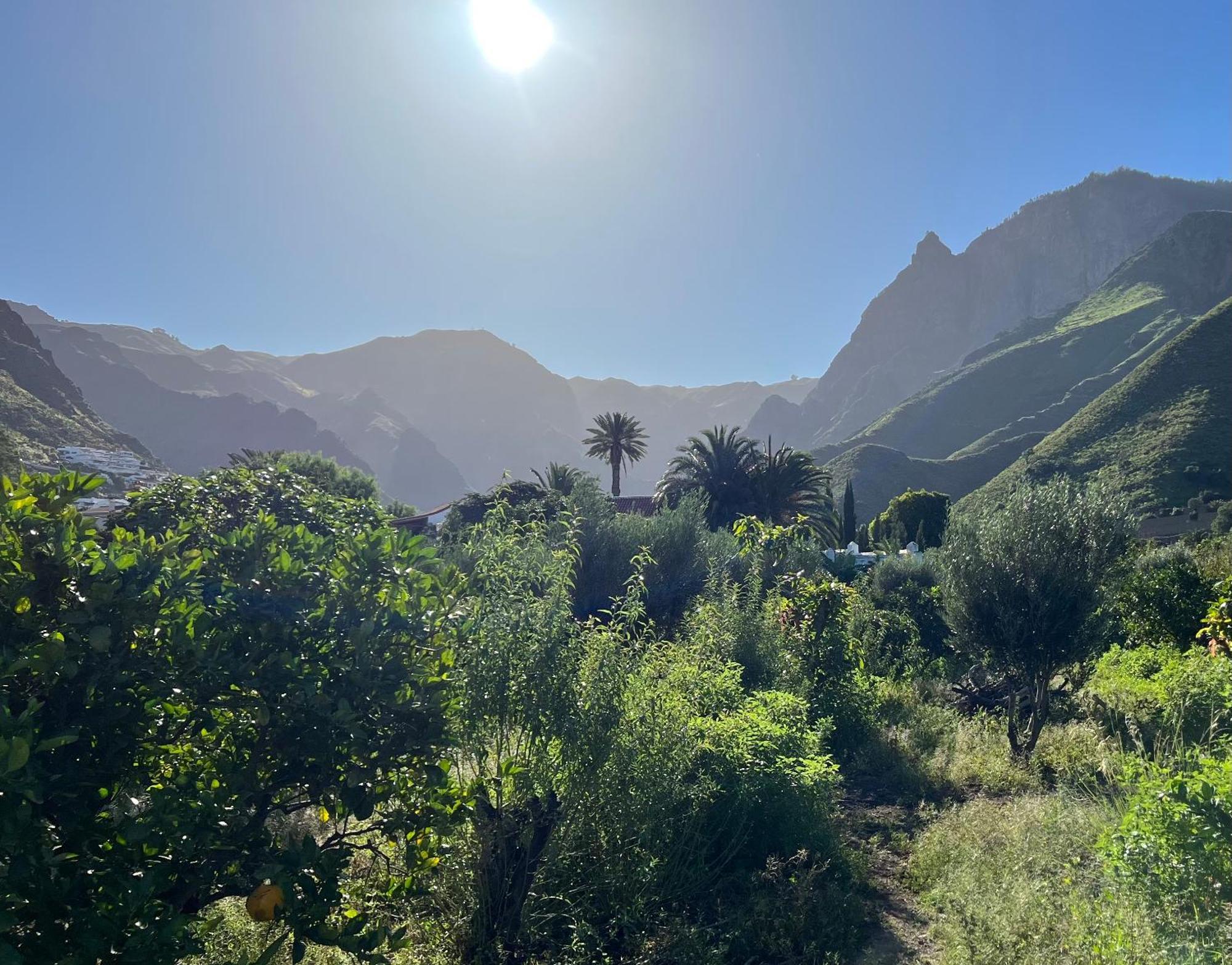 Finca Exclusiv La Mareta アガエテ エクステリア 写真
